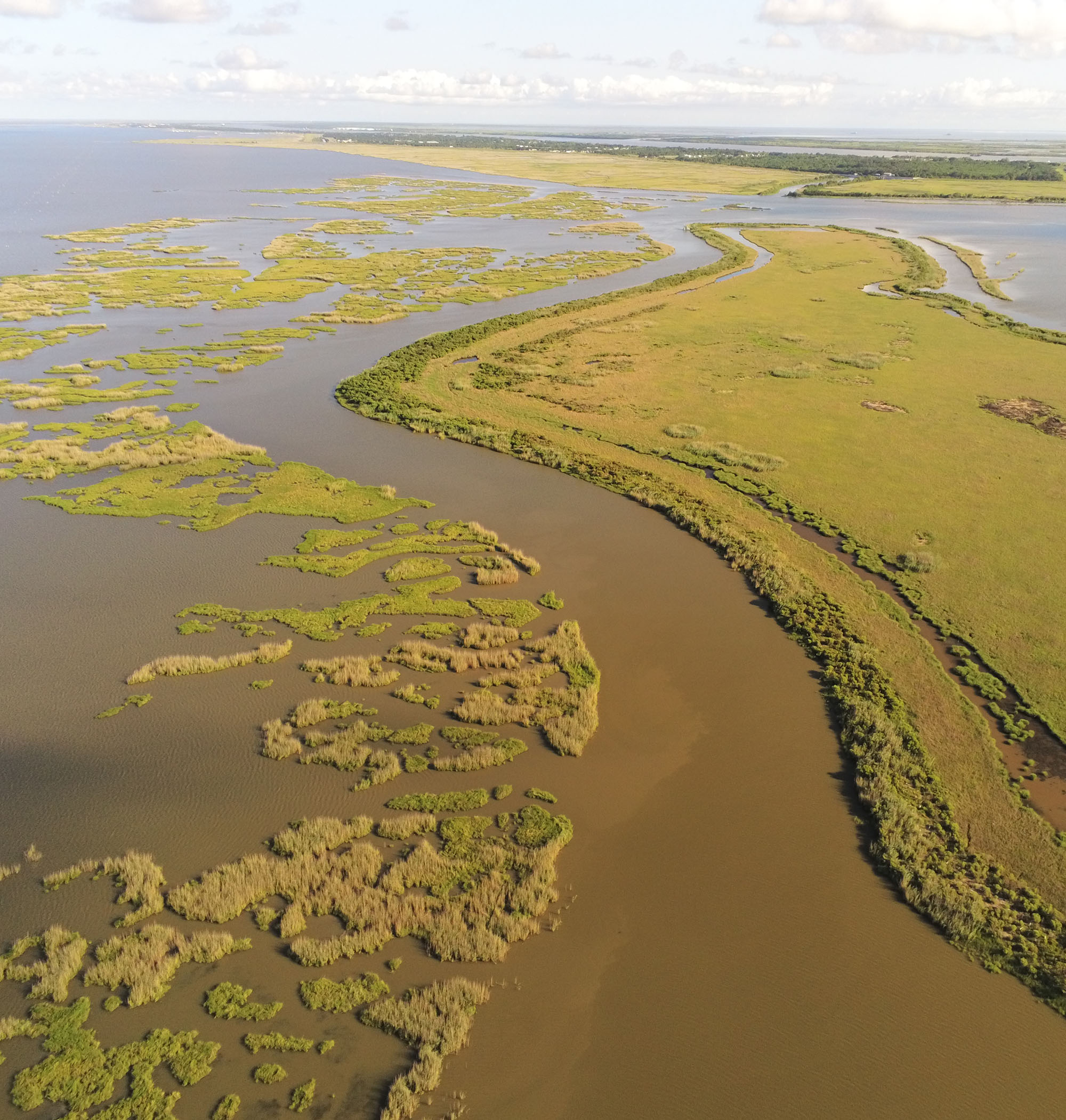 Drone footage of field sites in southeastern Louisiana.