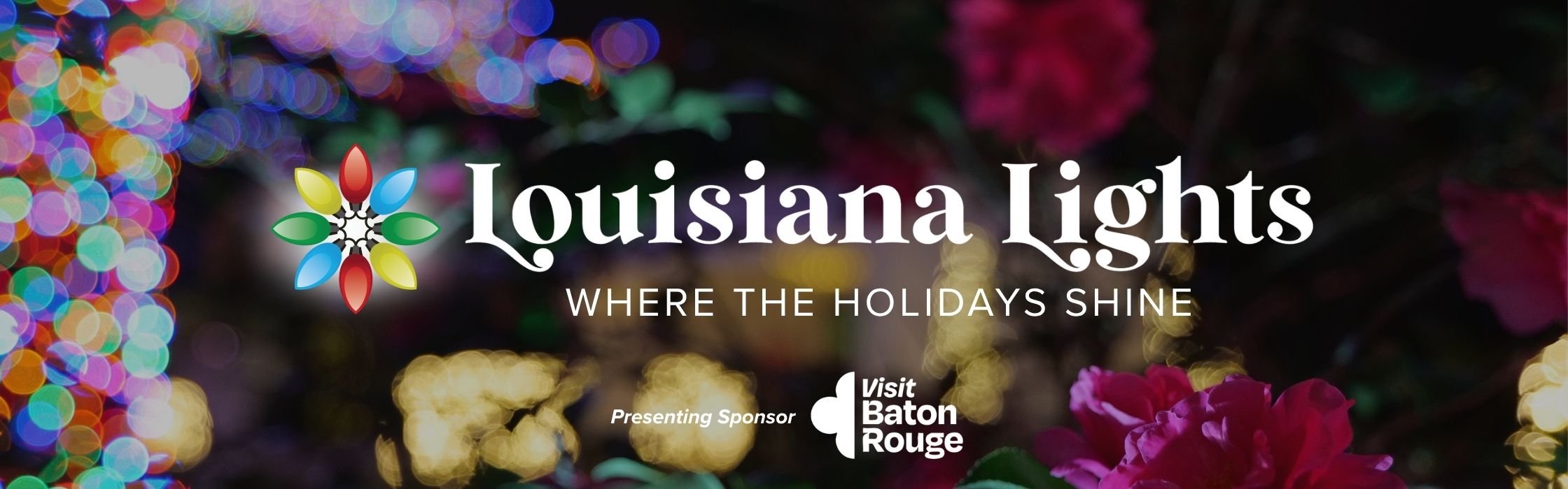 Louisiana Light Banner